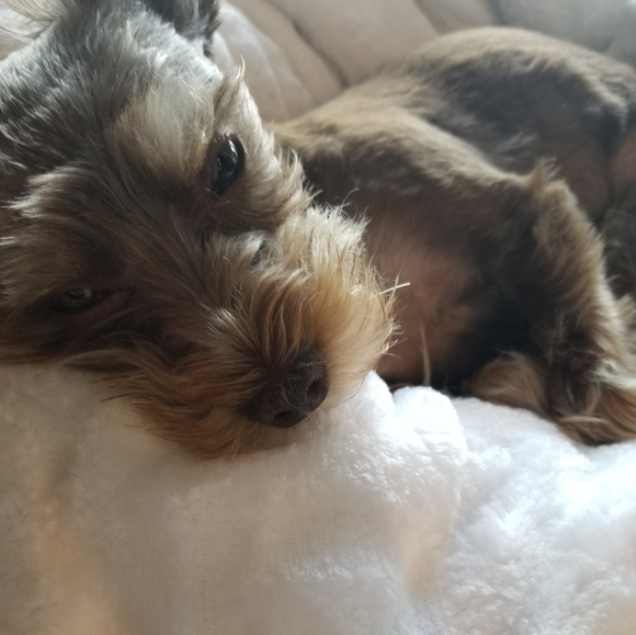 Hi itโs Gisella a wannabe reformed hoarder - Picture 8 of 8